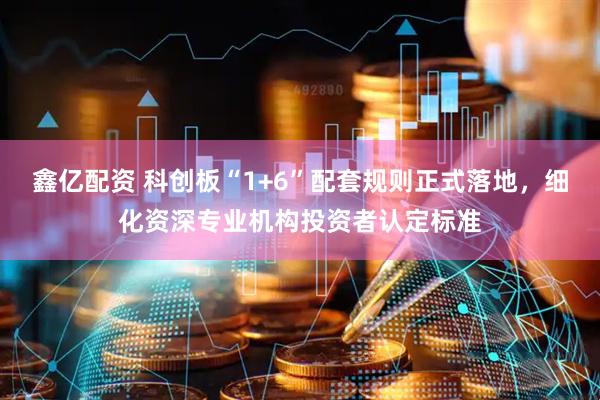 鑫亿配资 科创板“1+6”配套规则正式落地，细化资深专业机构投资者认定标准